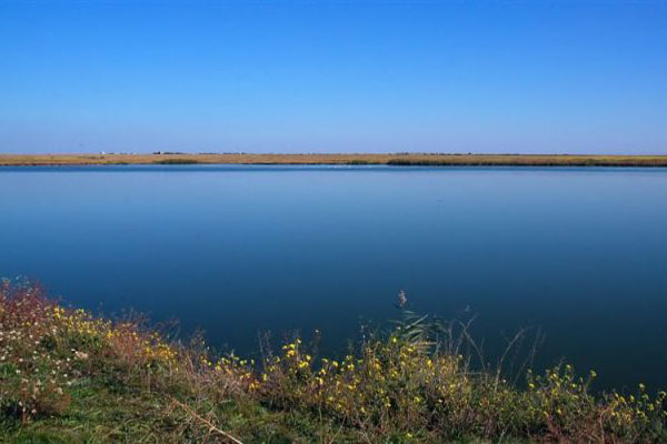 Питание озера Донузлав